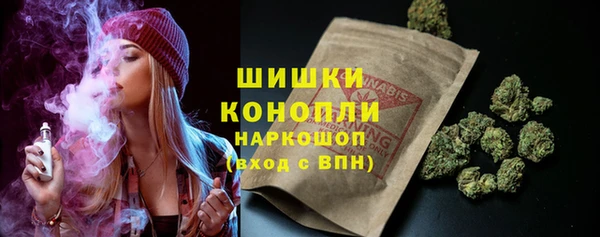 кокс Касимов