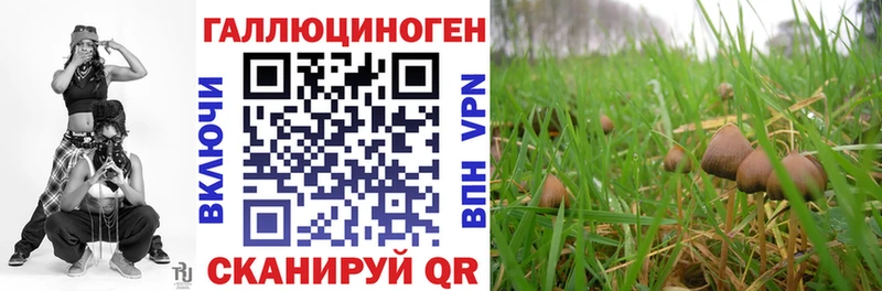 Псилоцибиновые грибы GOLDEN TEACHER  Купить закладки  Боровск 
